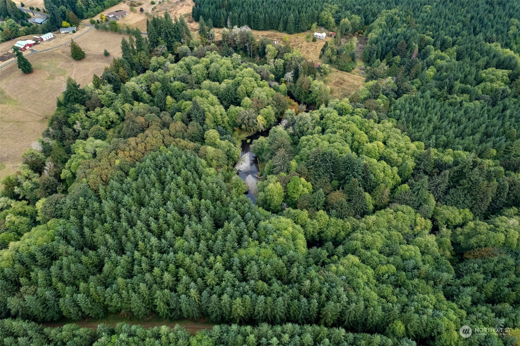 0 Forks Creek Road Raymond, WA 98577 - Photo 8 of 9 Gallery Image 8