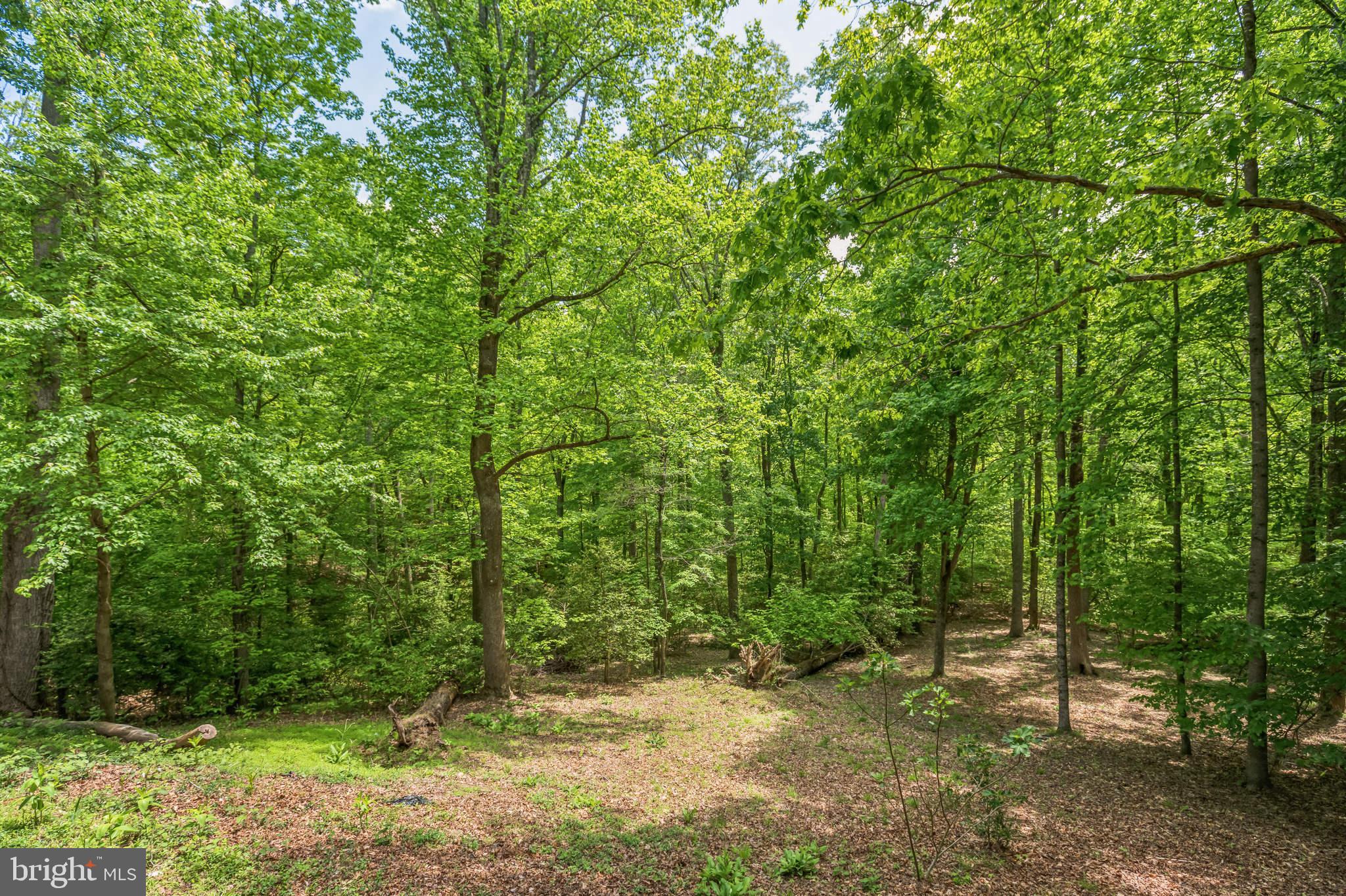 11425 Mill Bridge Road Lusby, MD 20657 - Photo 13 of 40 a big yard with lots of green space and house