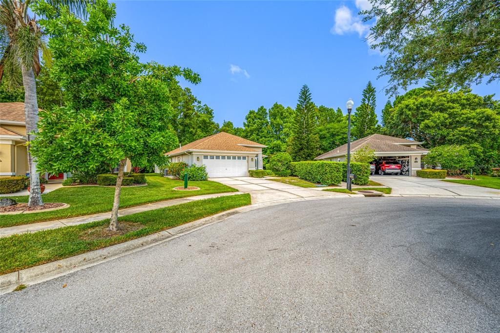 7740 Craighurst Loop Trinity, FL 34655 - Photo 64 of 65