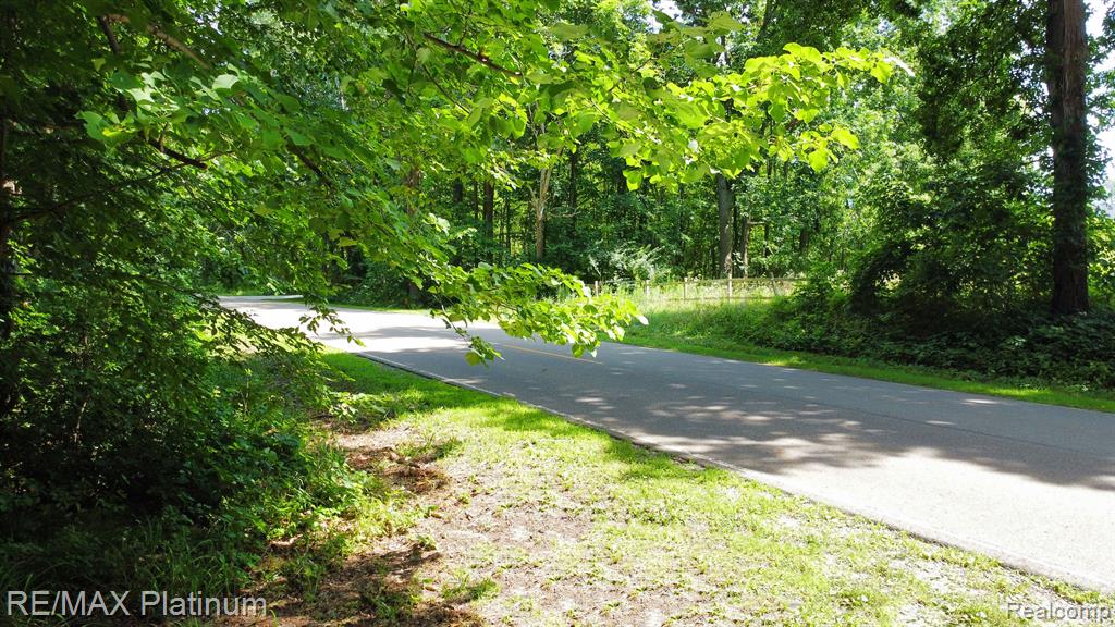 V/l Read Road Fenton, MI 48430 - Photo 4 of 10 Gallery Image 4