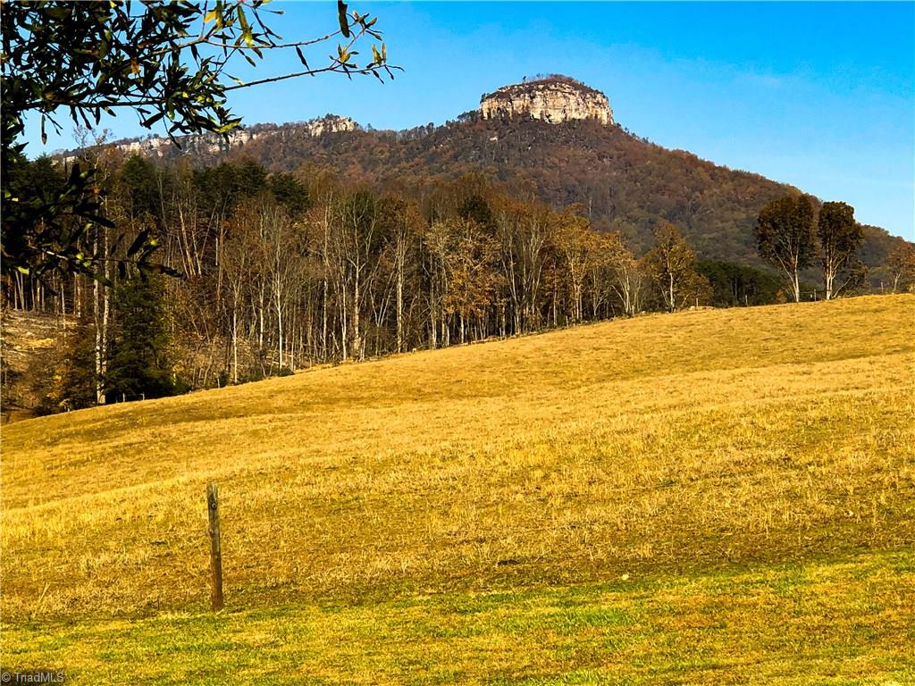 679 Mt Zion Road Pinnacle, NC 27043 - Photo 1 of 30 Beautiful view of Pilot Mtn from back yard.
