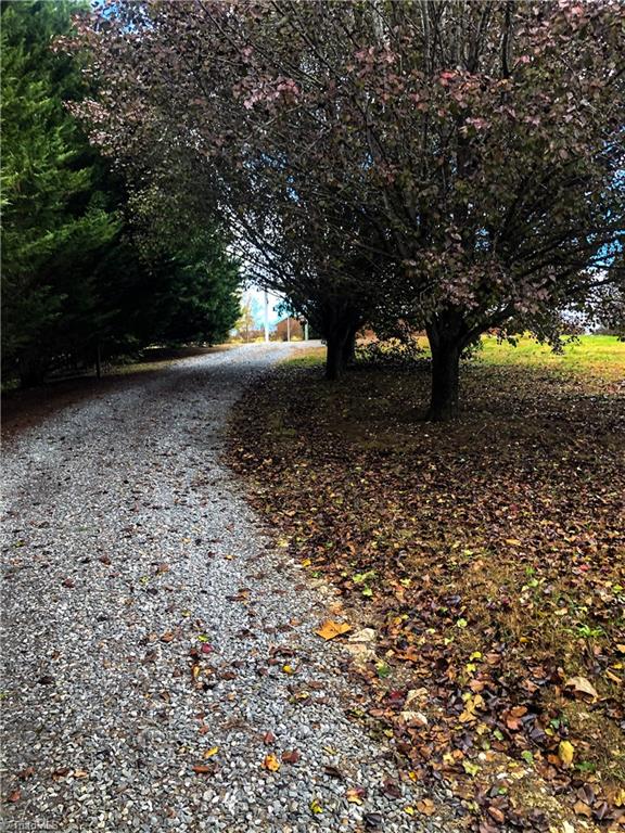 679 Mt Zion Road Pinnacle, NC 27043 - Photo 3 of 30 driveway