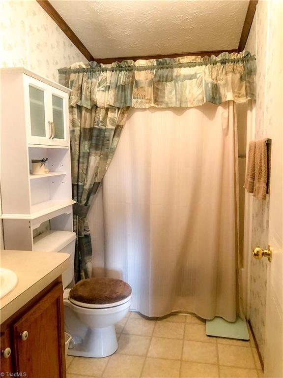679 Mt Zion Road Pinnacle, NC 27043 - Photo 26 of 30 Full Bath