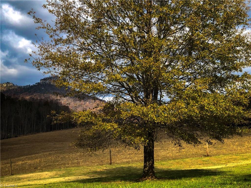 679 Mt Zion Road Pinnacle, NC 27043 - Photo 10 of 30 Back Yard view