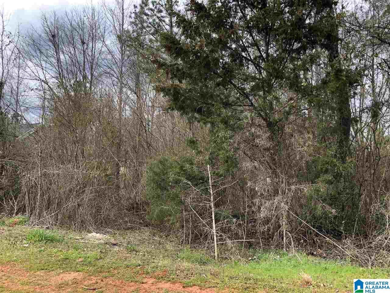 0 Almaroad Place, Unit 105 Jacksonville, AL 36265 - Photo 6 of 7