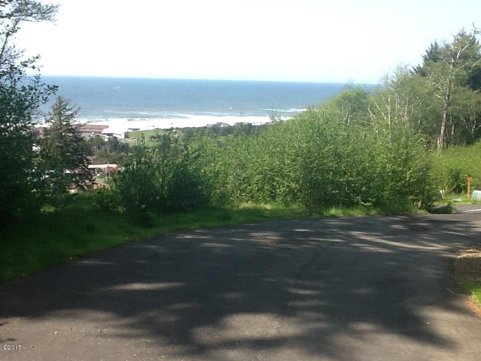 900-blk Horizon Hill Road Yachats, OR 97498 - Photo 3 of 3 oceanview (6)