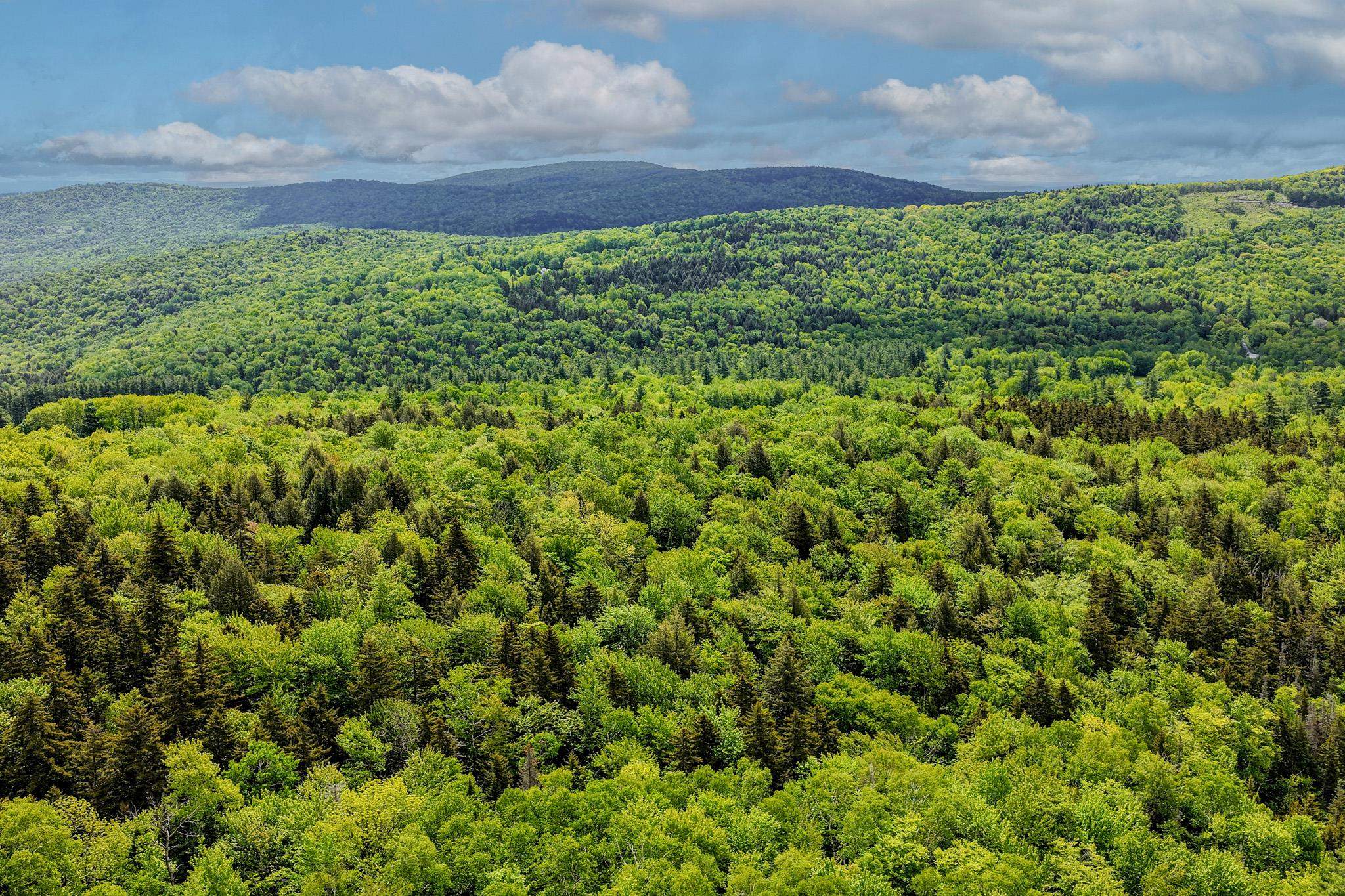 0 East Hill Road Andover, VT 05143 - Photo 17 of 17