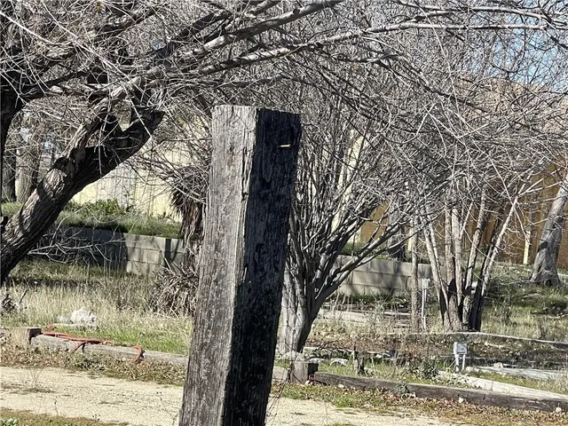 a view of a yard in front of a house