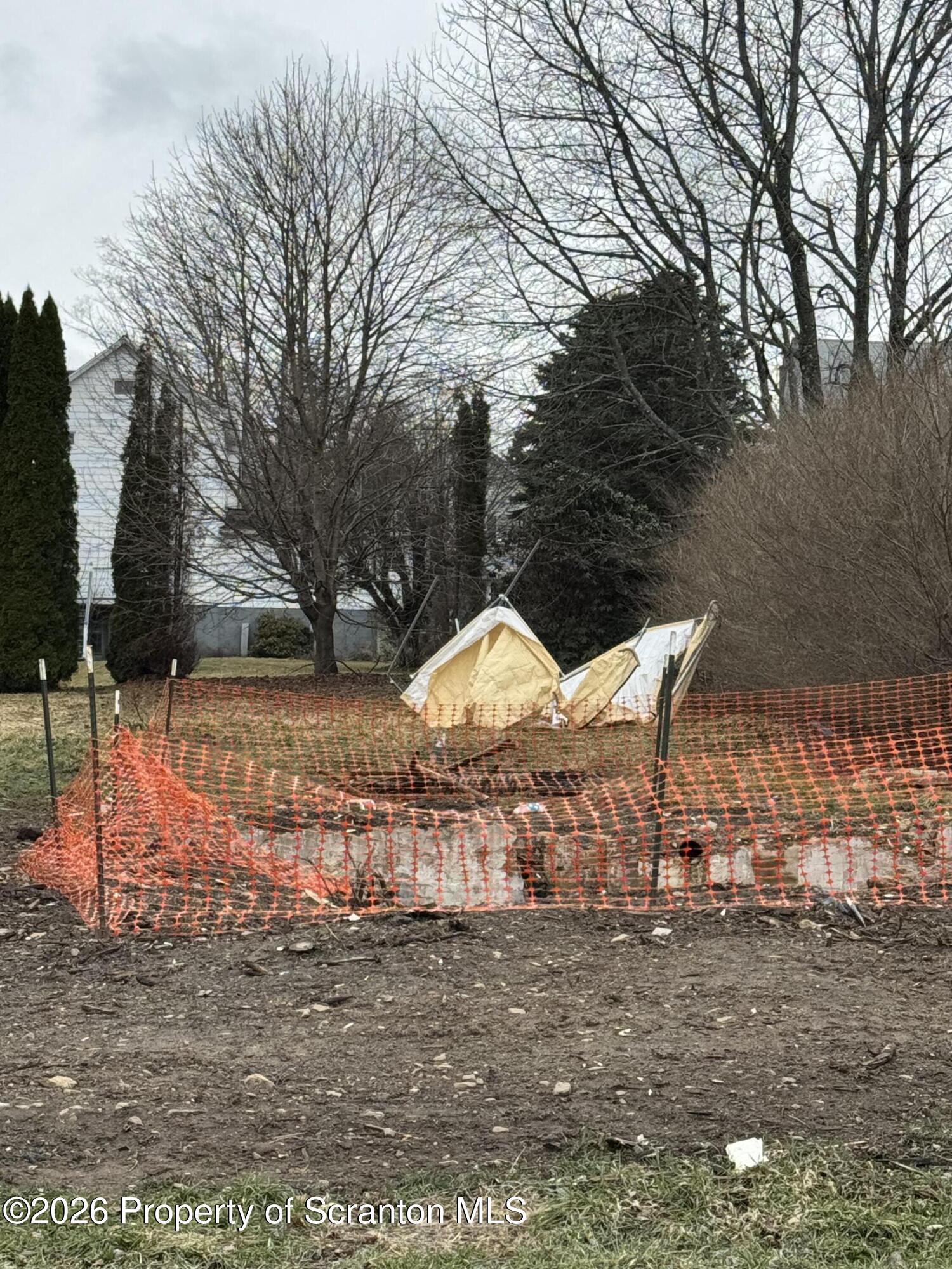 a view of a yard with a tree