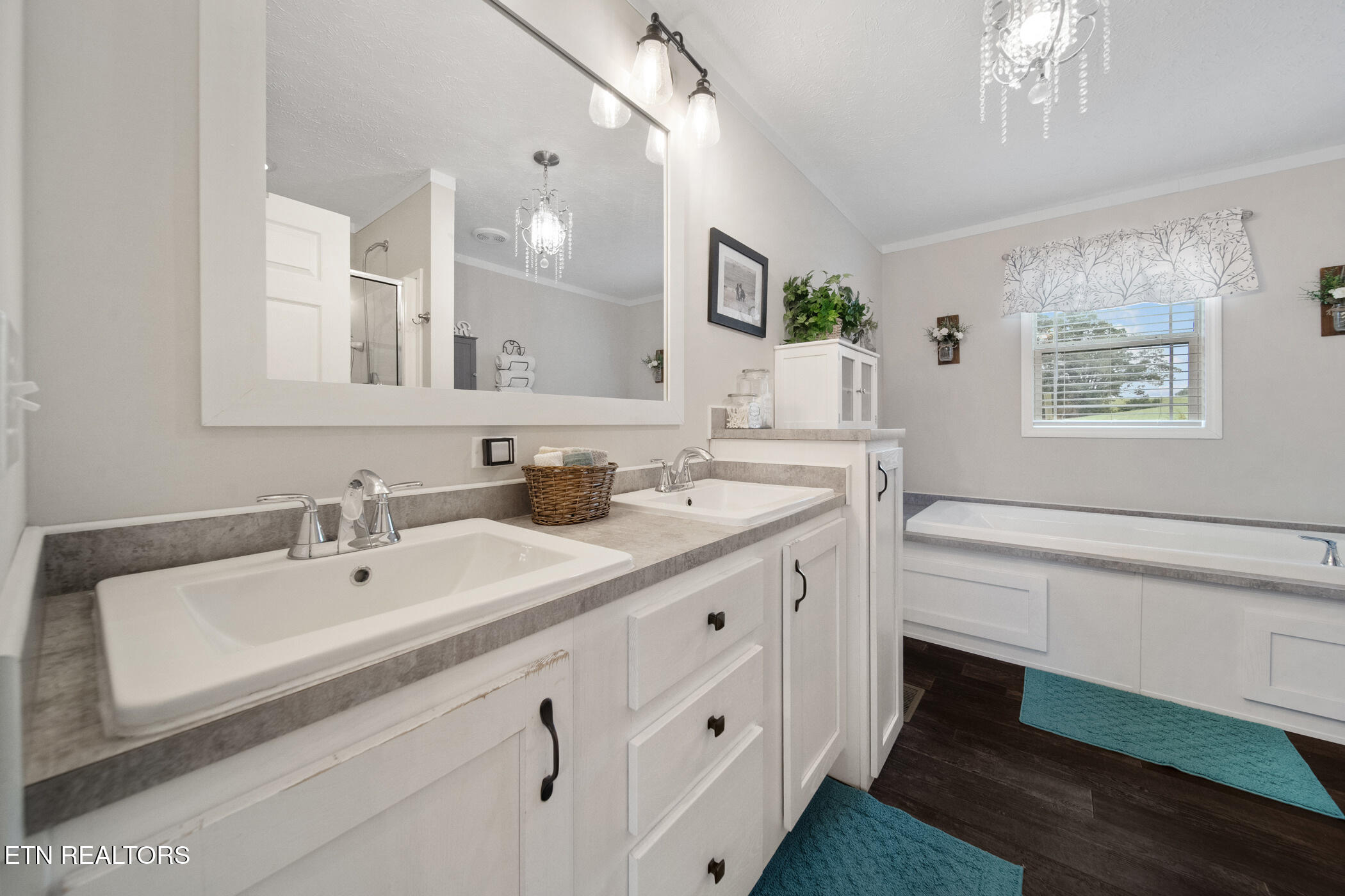 1185 Chestnut Grove Road Dandridge, TN 37725 - Photo 25 of 30 dsc09265