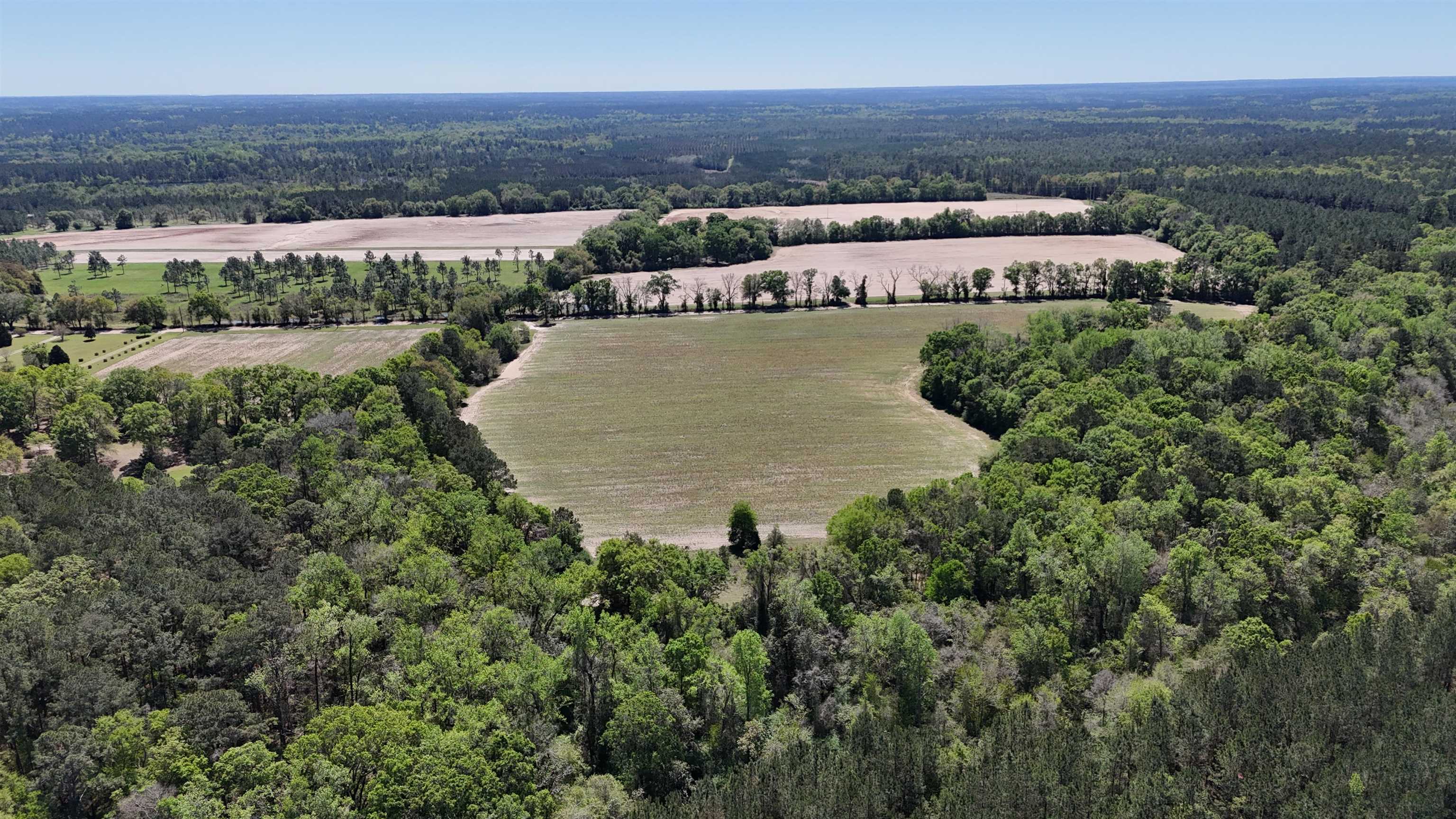1975 Rook Road Ochlocknee, GA 31773 - Photo 24 of 42