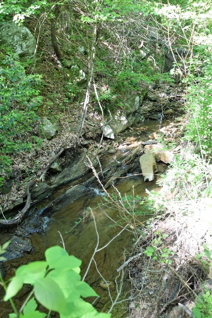 6348 Back Creek Road Boones Mill, VA 24065 - Photo 39 of 39 DSC_0008