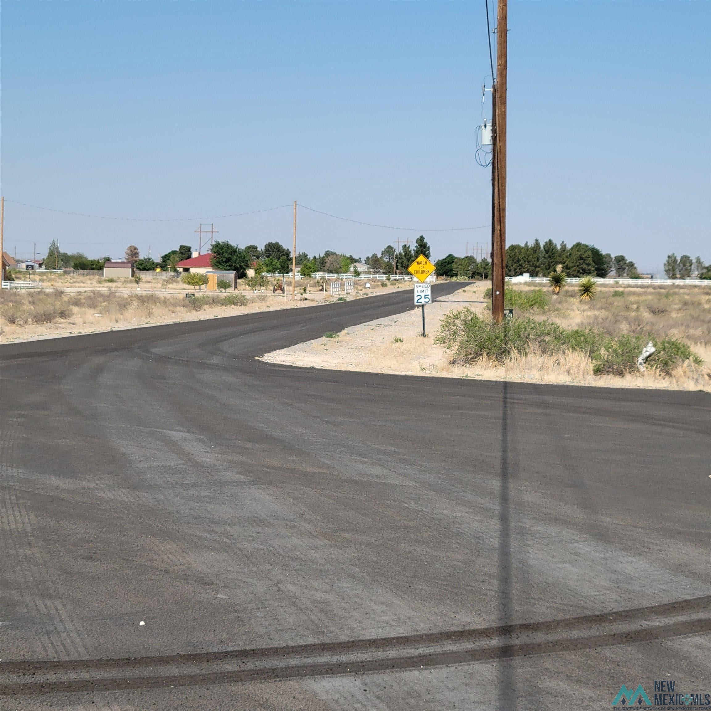 Lot 14 Molinar Road Carlsbad, NM 88220 - Photo 7 of 10 Gallery Image 7