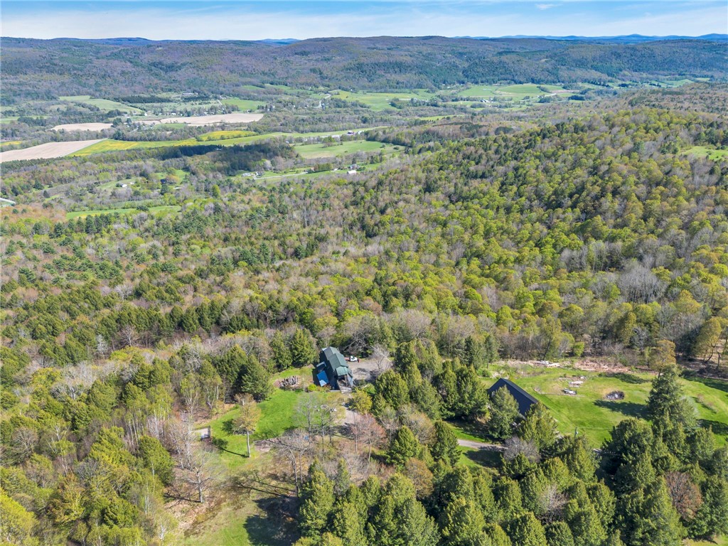 180 Campbell Hill Road Middlefield, NY 13326 - Photo 43 of 47