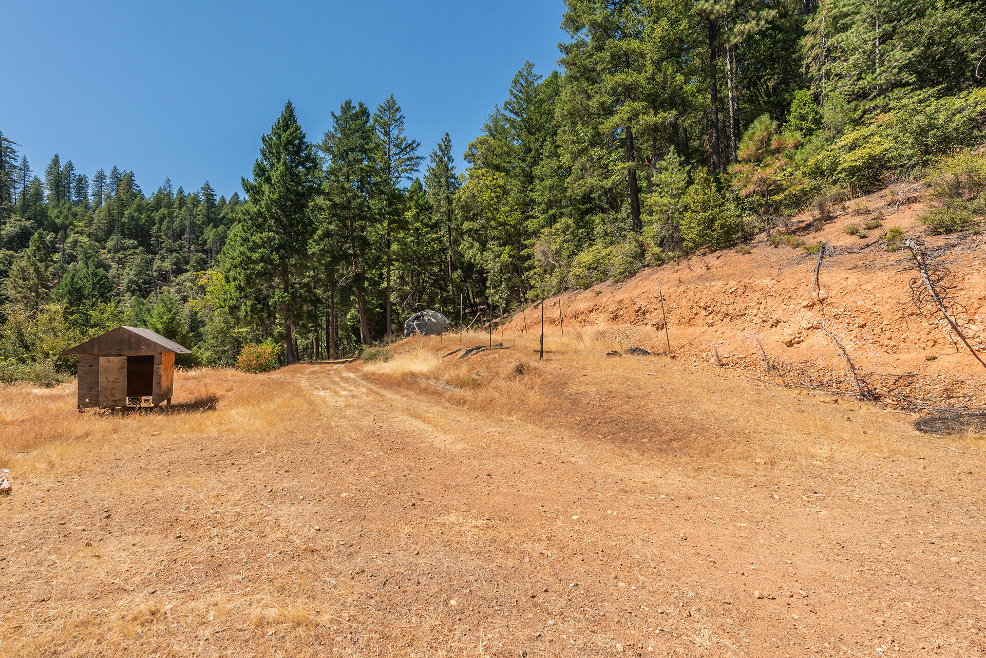 1511 Upper Moore Gulch Road Trinity Center, CA 96091 - Photo 28 of 62 DSC_6696