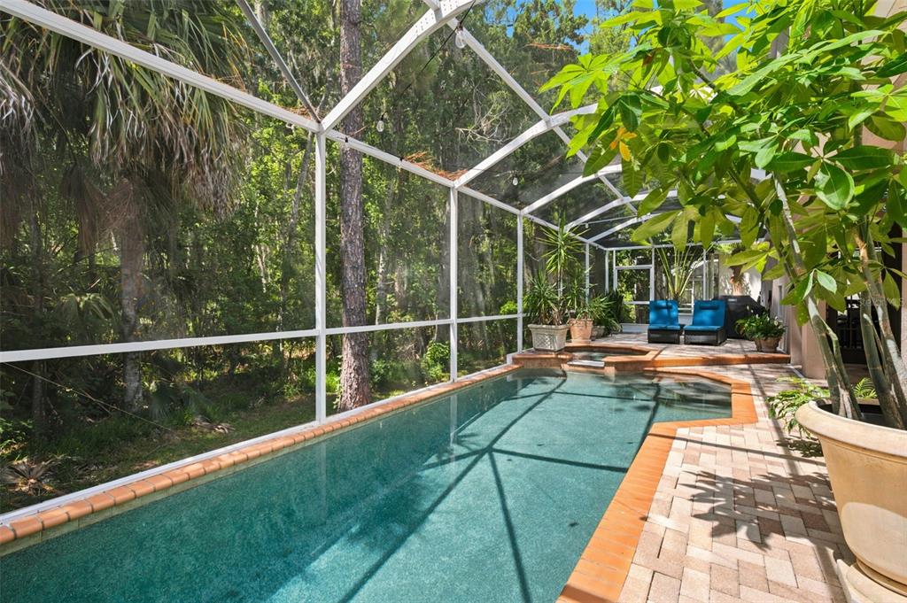 3449 Loggerhead Way Wesley Chapel, FL 33544 - Photo 40 of 52