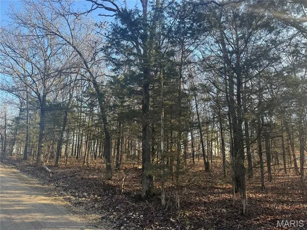 $180,000 | 42850 Maries Road 638, Dixon, MO 65459