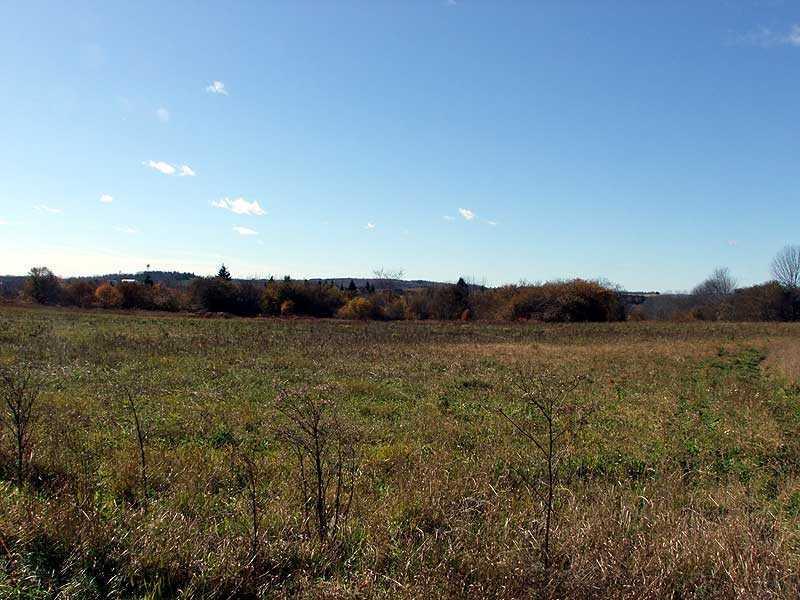 12-29 Lincoln Road Houlton, ME 04730 - Photo 6 of 25 Land.