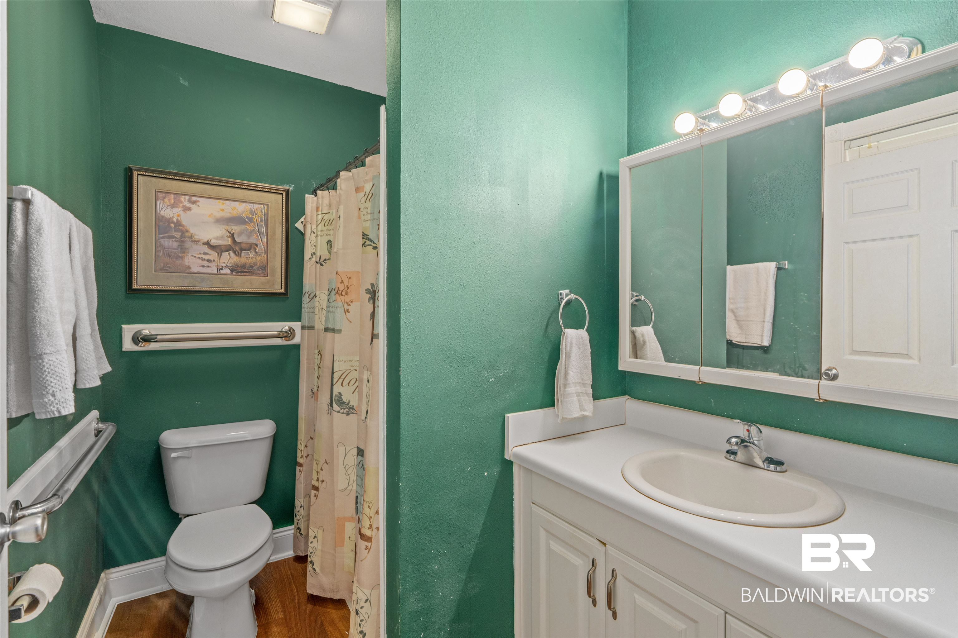 23186 Pecan Street Robertsdale, AL 36567 - Photo 21 of 36 Bathroom with a shower with shower curtain, vanity, and dark wood finished floors