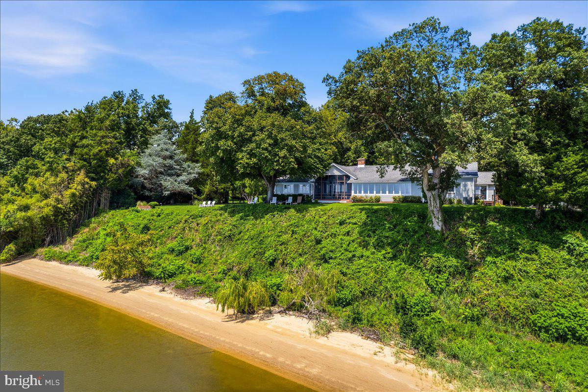 Serene riverside retreat with lush greenery.