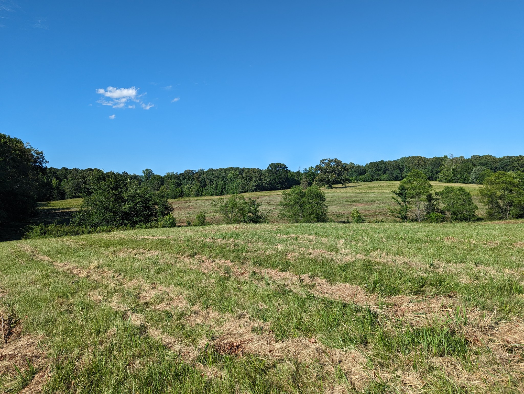 758 Ballard Road Camden, TN 38320 - Photo 2 of 40 Gallery Image 2