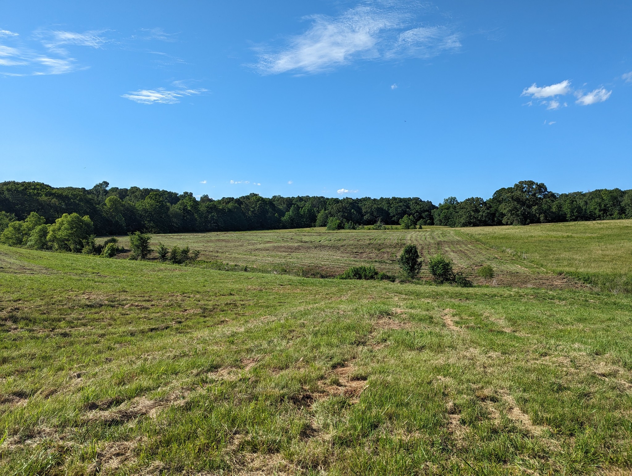 758 Ballard Road Camden, TN 38320 - Photo 4 of 40 Gallery Image 4