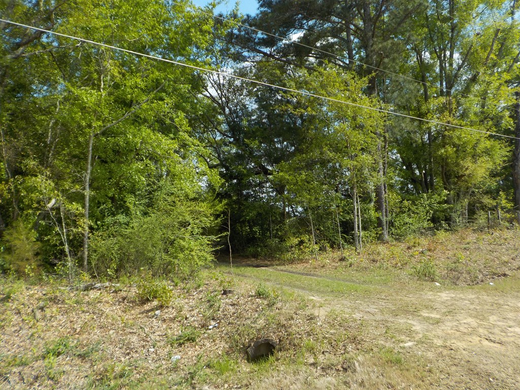 5.3-ac Memphis Church Road Dothan, AL 36301 - Photo 14 of 29