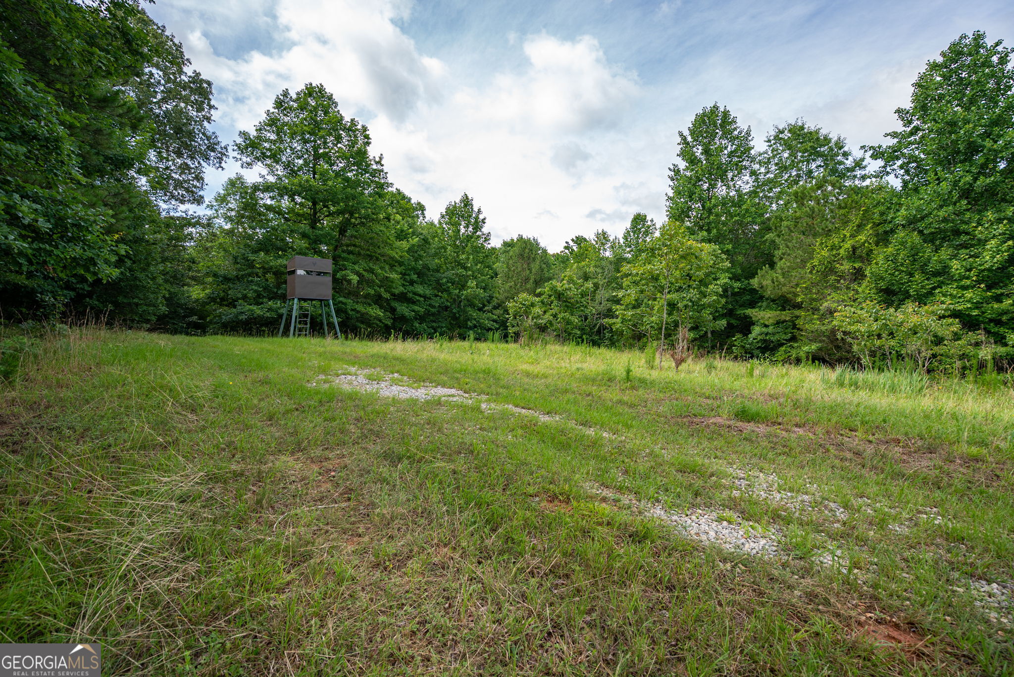 2286 Duffell Martin Road Comer, GA 30629 - Photo 36 of 81