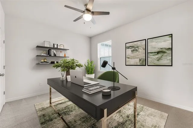 a living room with furniture and a potted plant