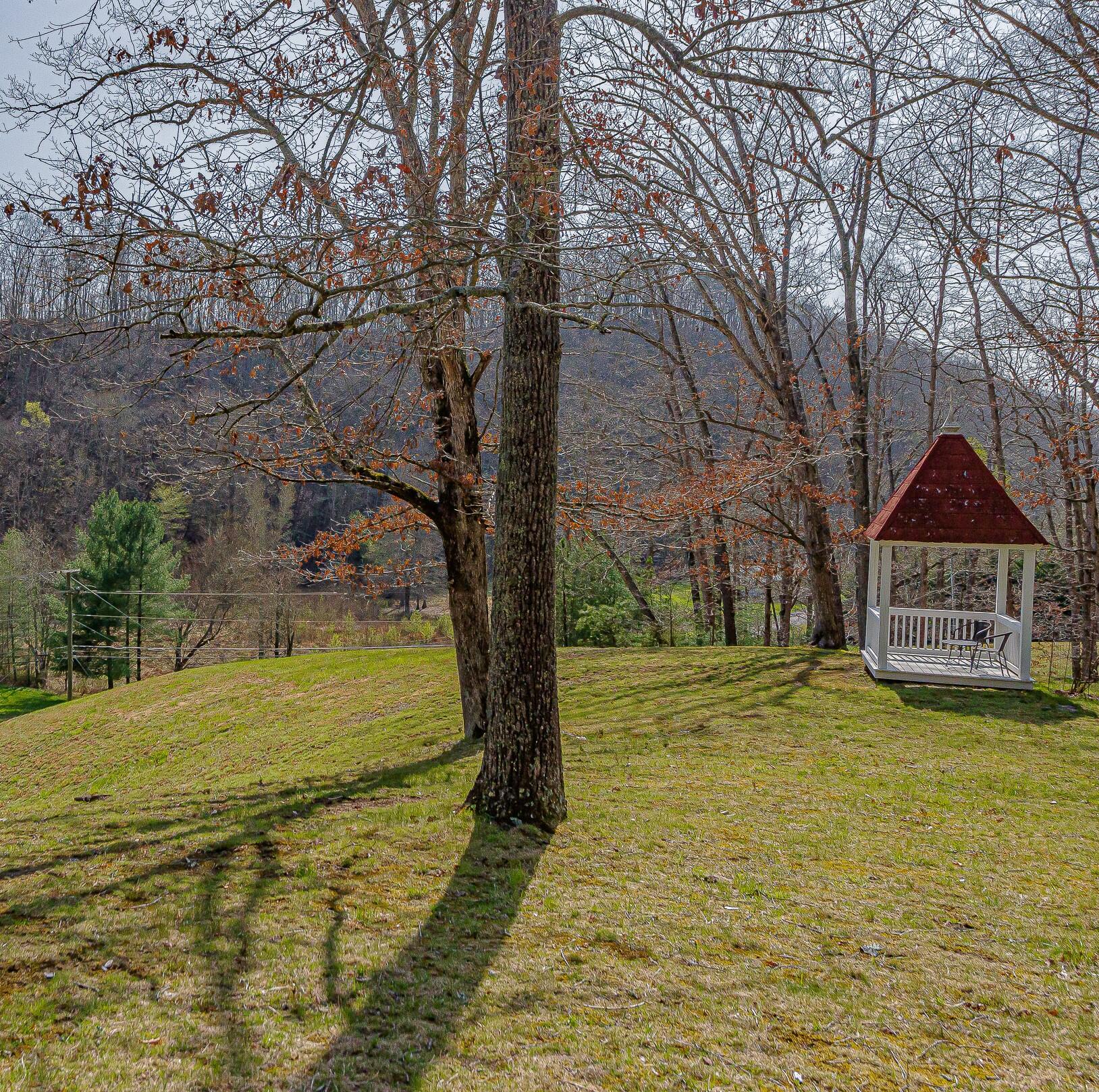 3984 Yuma Road Gate City, VA 24251 - Photo 50 of 69 DSC_9513