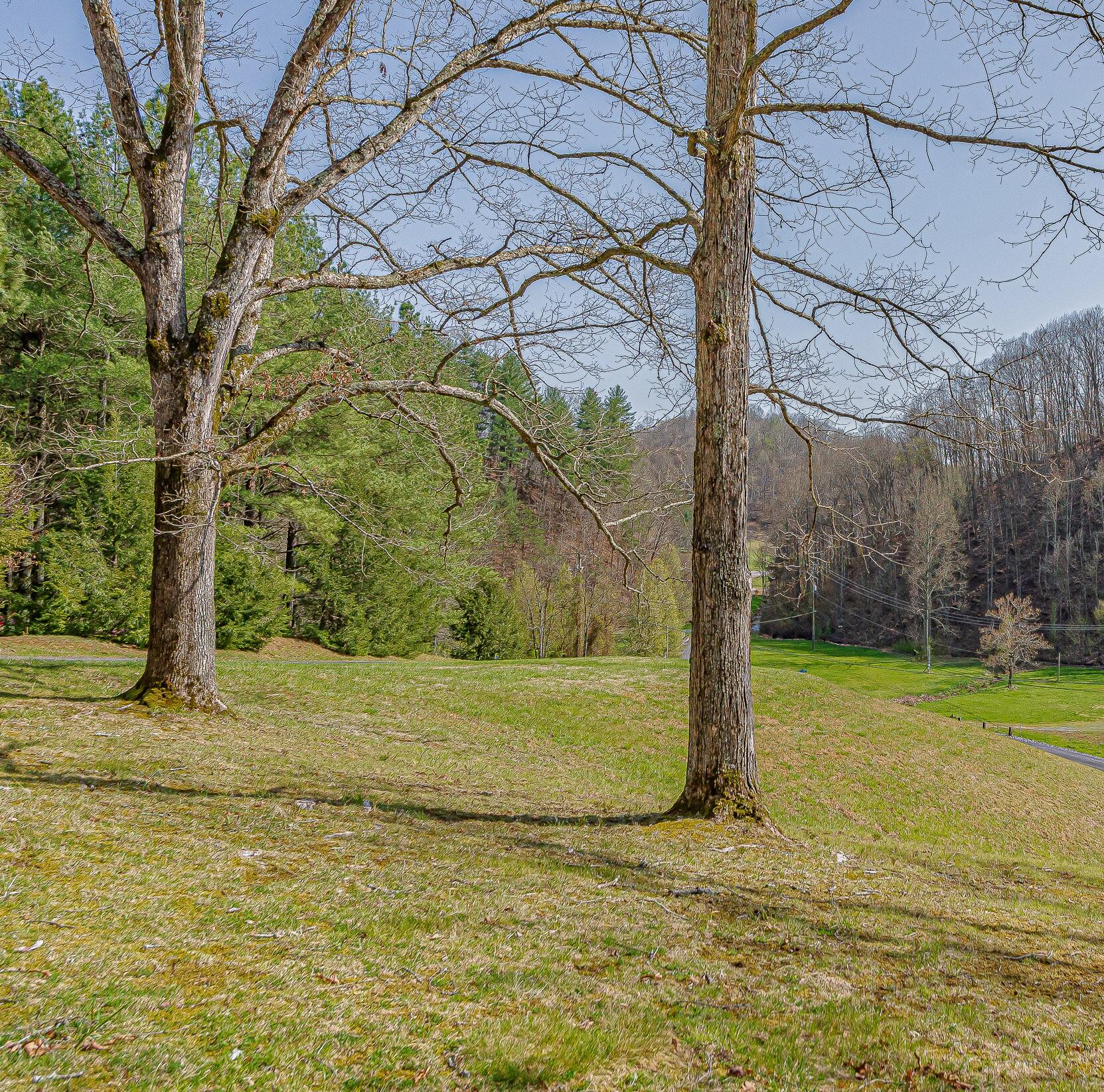 3984 Yuma Road Gate City, VA 24251 - Photo 51 of 69 DSC_9515