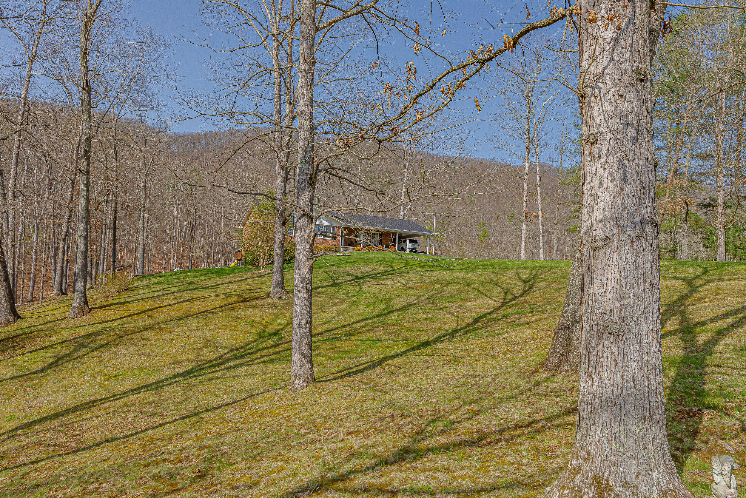 3984 Yuma Road Gate City, VA 24251 - Photo 52 of 69 DSC_9521
