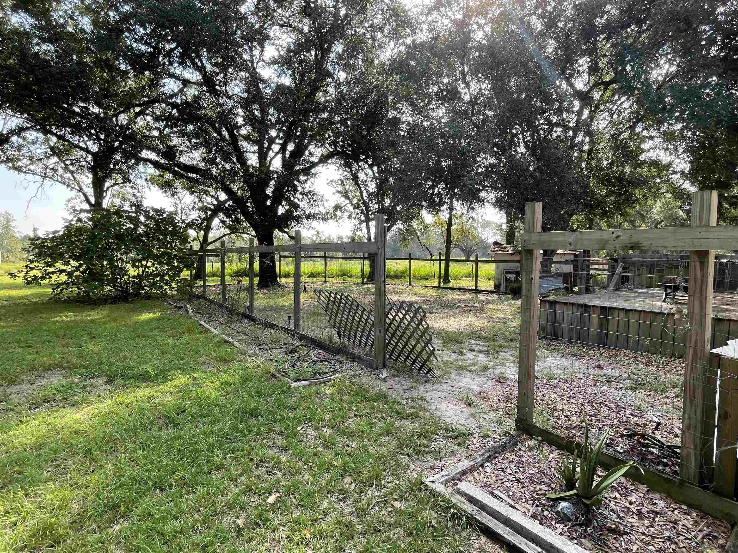 282 Northeast Paw Paw Street Pinetta, FL 32350 - Photo 16 of 50 Gallery Image 16