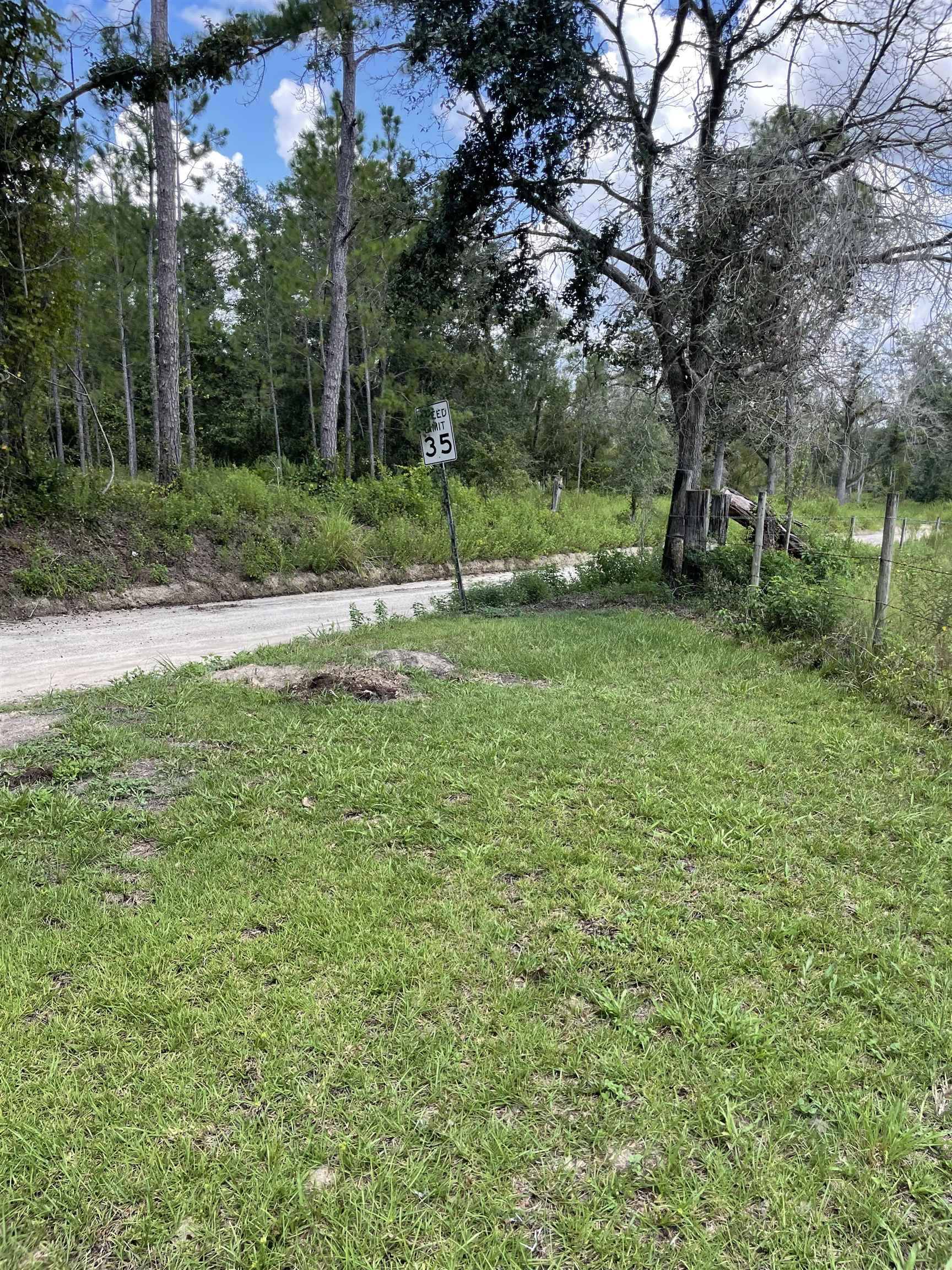 282 Northeast Paw Paw Street Pinetta, FL 32350 - Photo 25 of 50 Gallery Image 25
