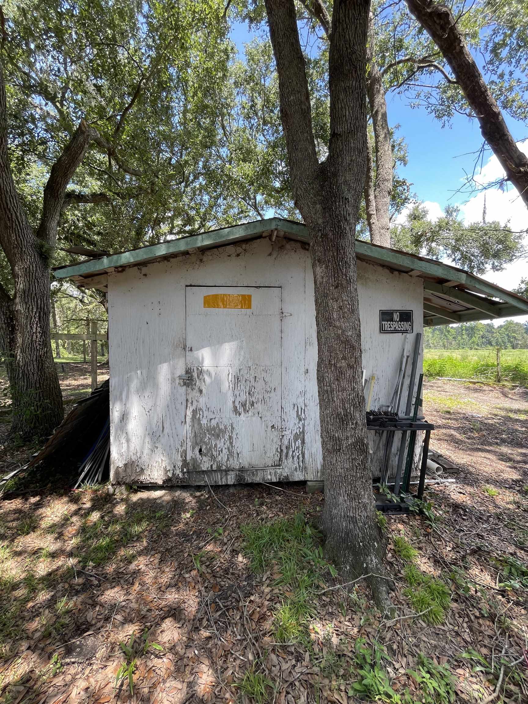 282 Northeast Paw Paw Street Pinetta, FL 32350 - Photo 26 of 50 Gallery Image 26