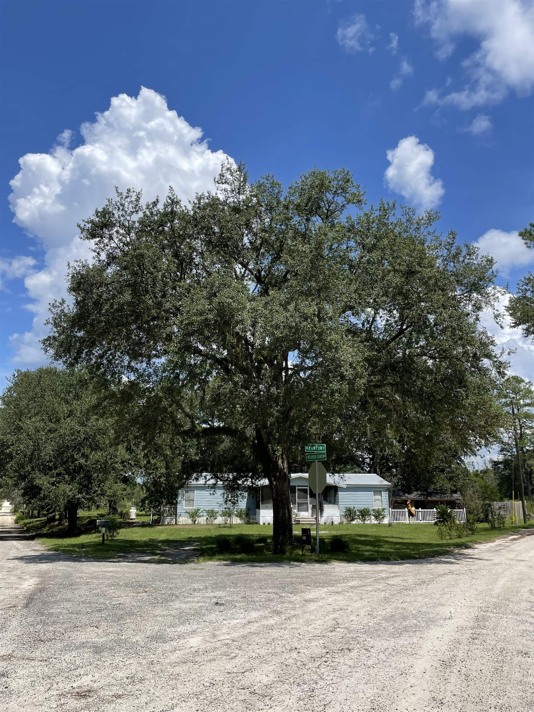 282 Northeast Paw Paw Street Pinetta, FL 32350 - Photo 31 of 50 Gallery Image 31