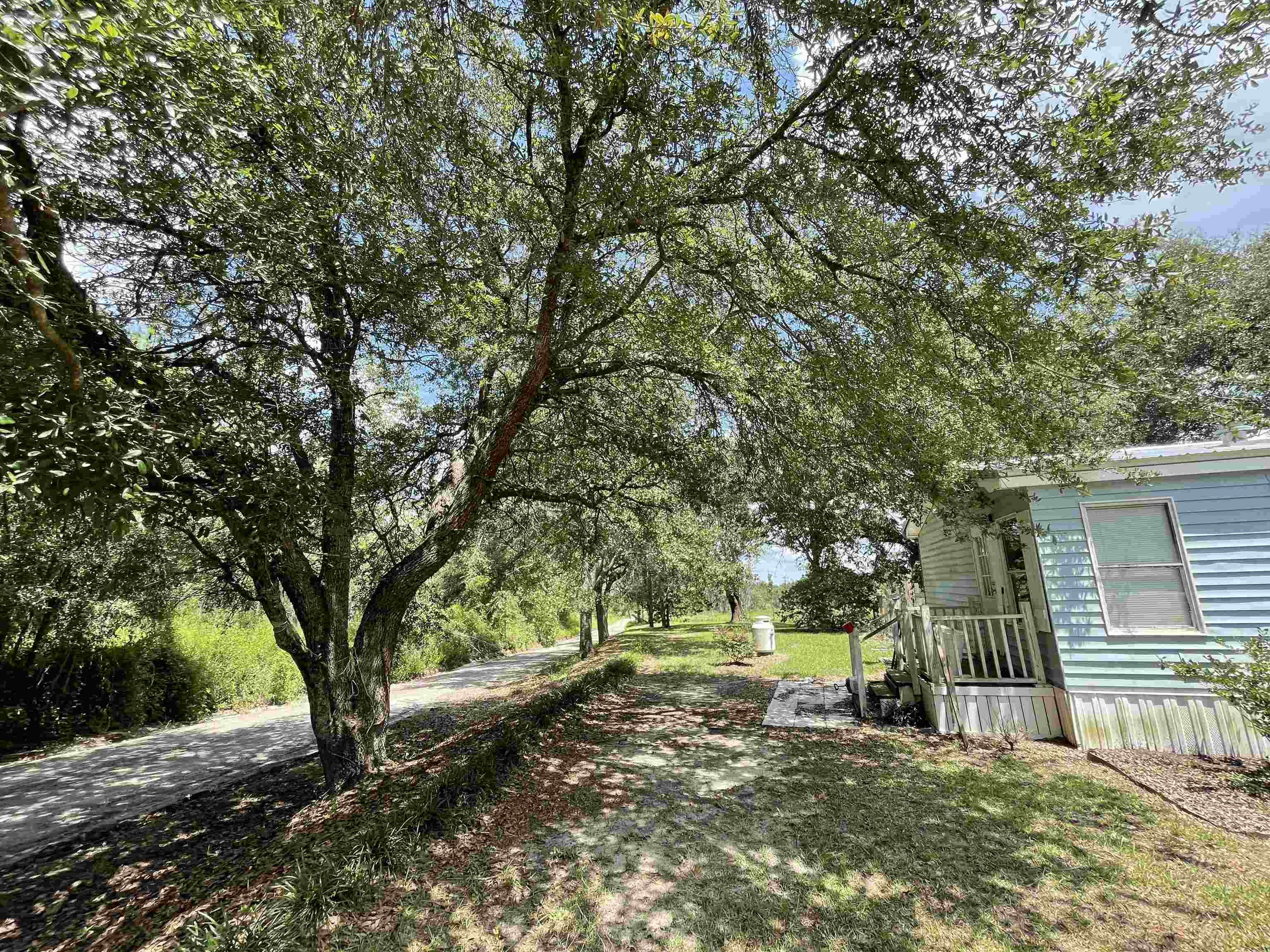 282 Northeast Paw Paw Street Pinetta, FL 32350 - Photo 49 of 50 Gallery Image 49