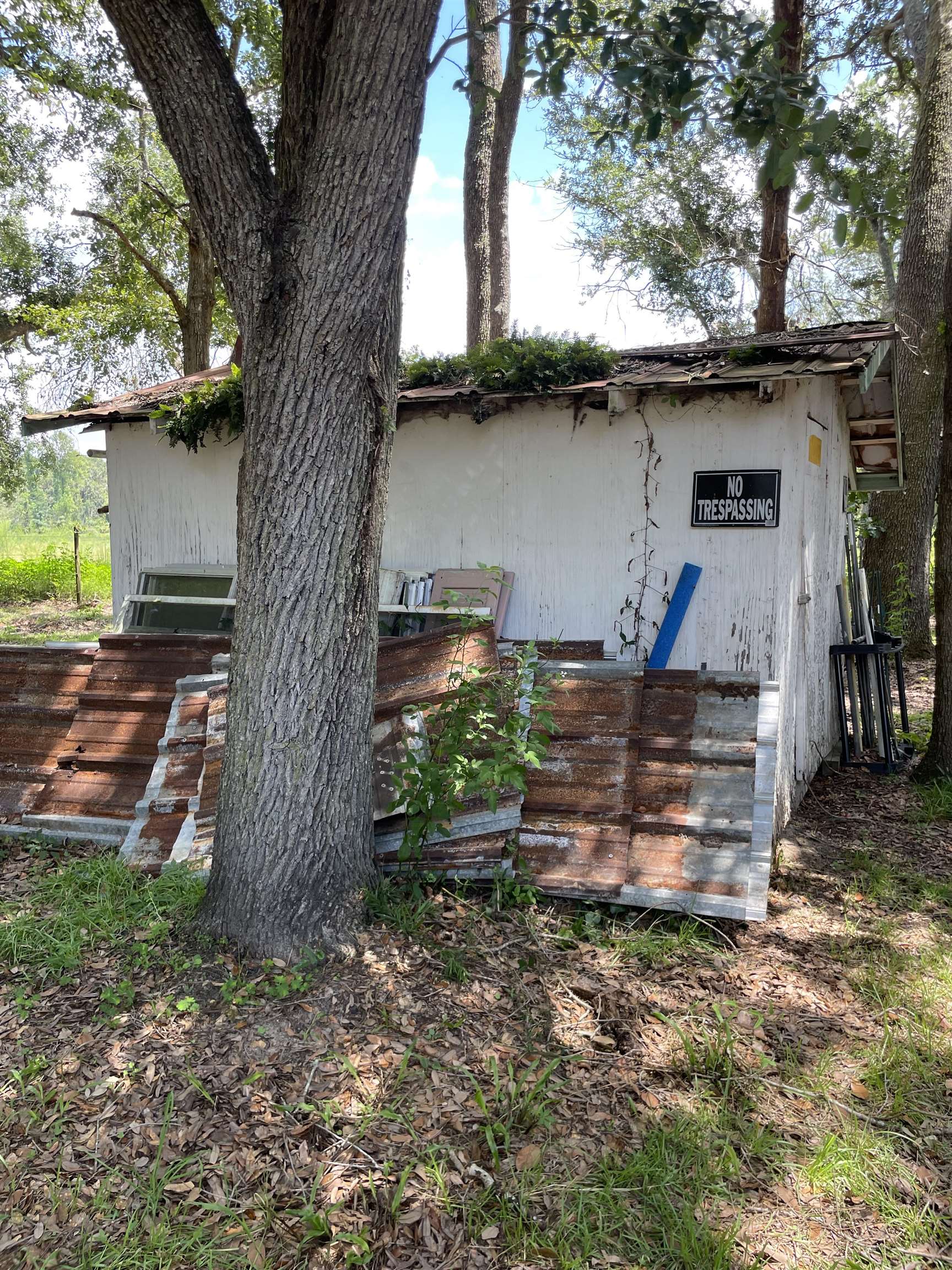 282 Northeast Paw Paw Street Pinetta, FL 32350 - Photo 50 of 50 Gallery Image 50