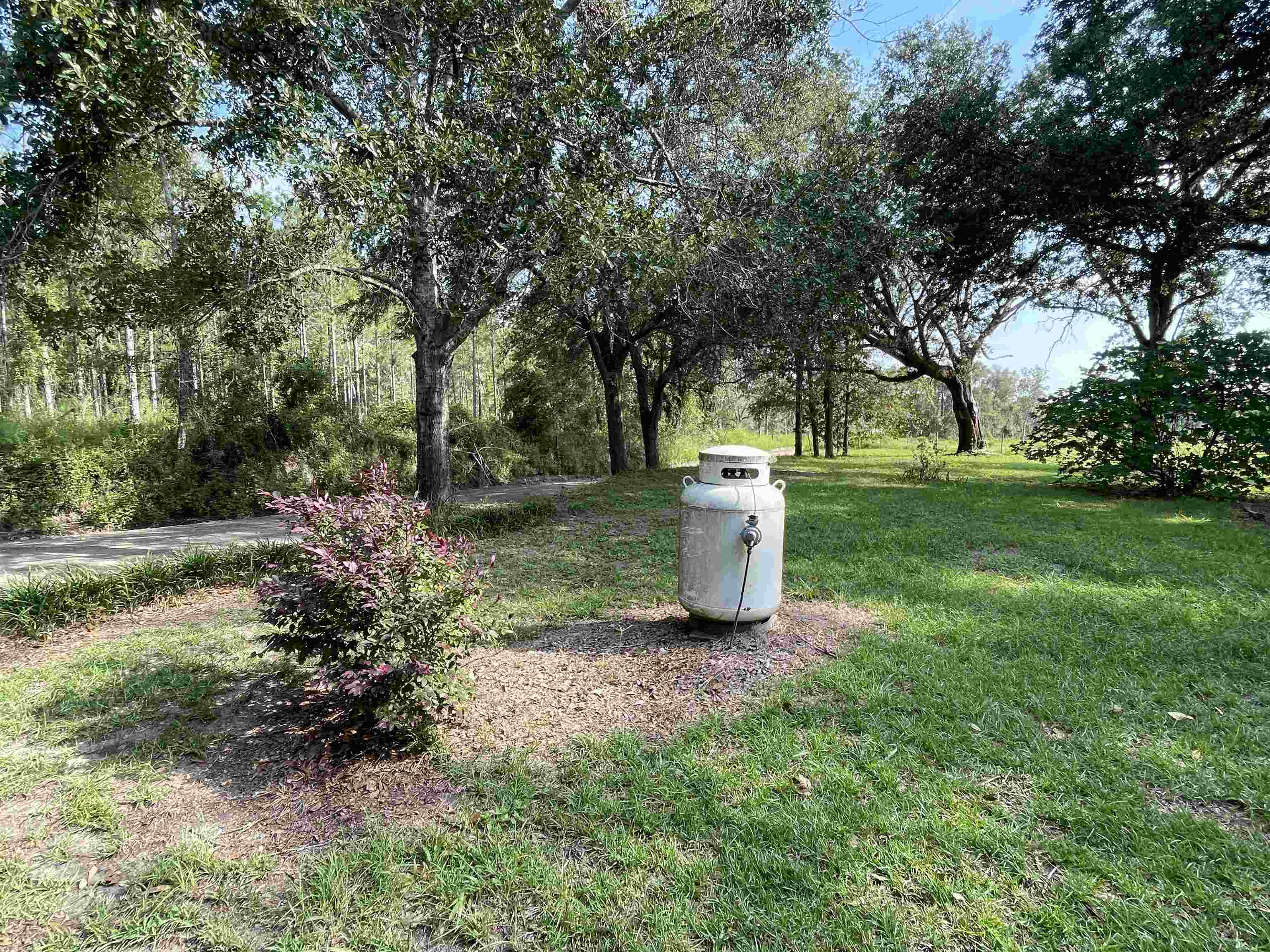 282 Northeast Paw Paw Street Pinetta, FL 32350 - Photo 8 of 50 Gallery Image 8