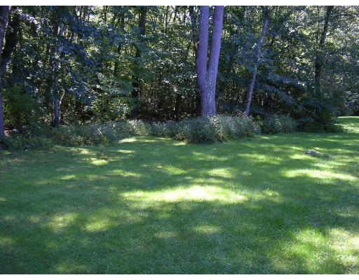 3 Spring Street Norfolk, MA 02056 - Photo 10 of 13 Gallery Image 10