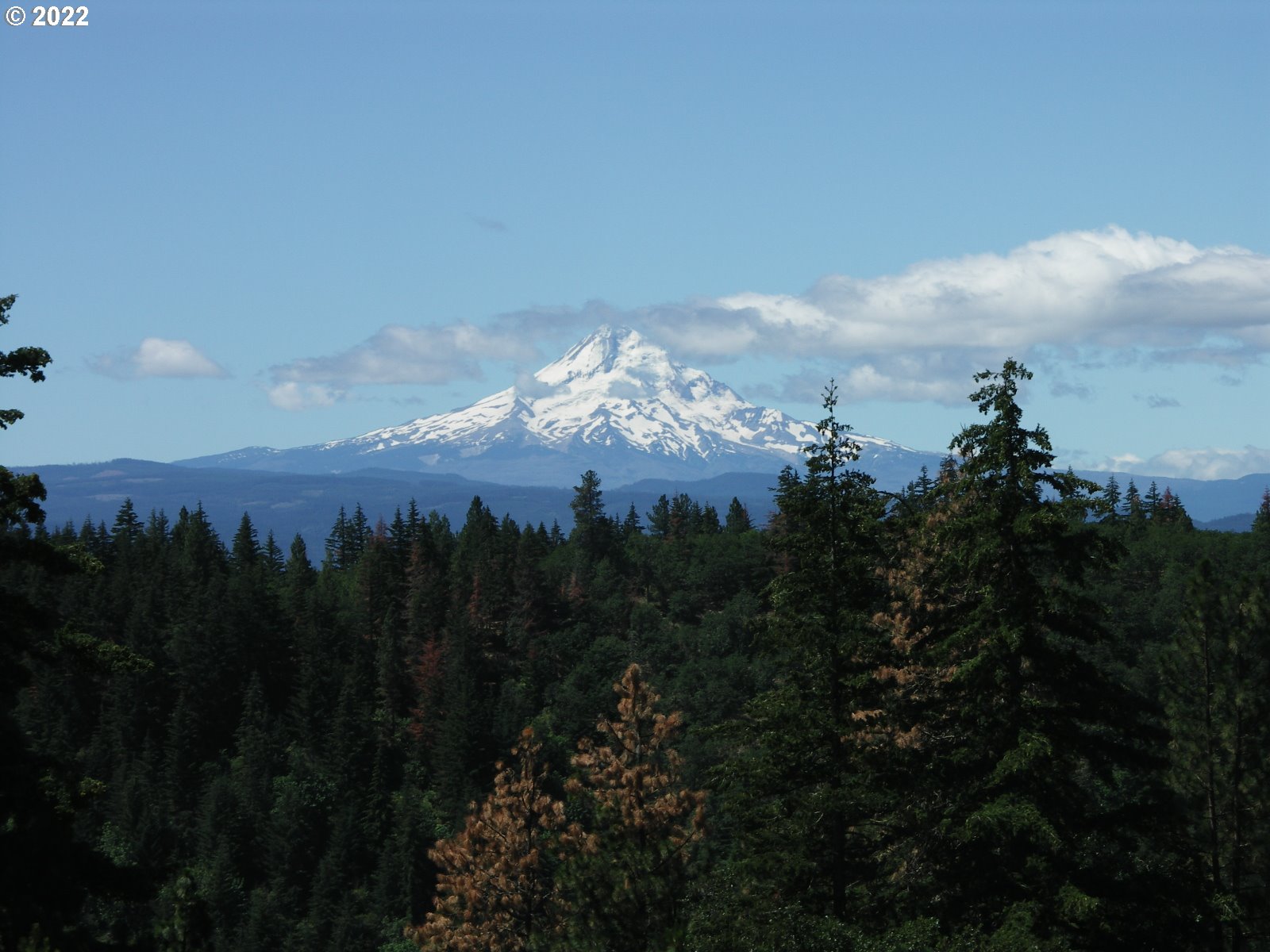 Knoll Ridge Road Road Lyle, WA 98635 - Photo 1 of 28 Gallery Image 1