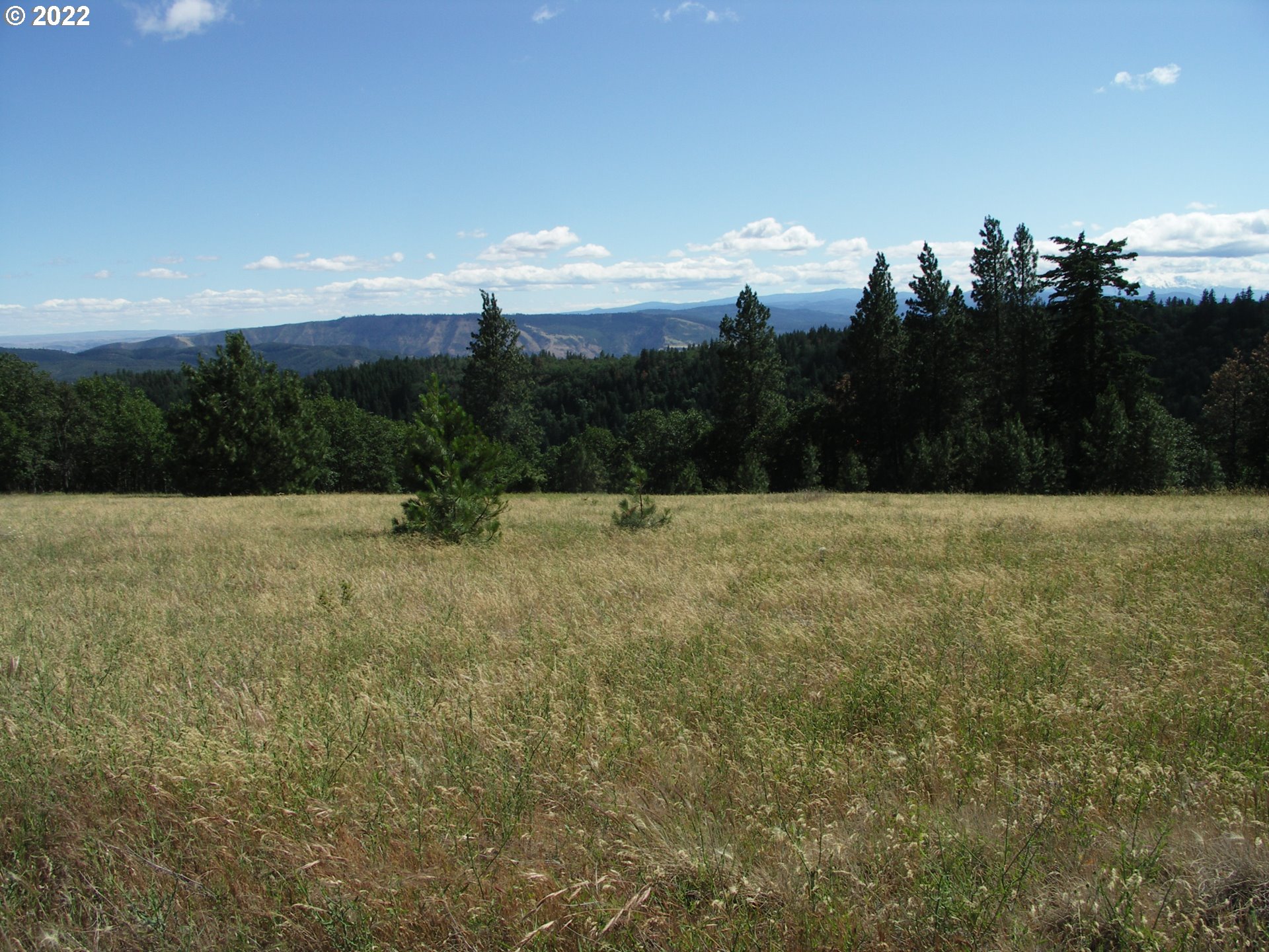 Knoll Ridge Road Road Lyle, WA 98635 - Photo 14 of 28 Gallery Image 14