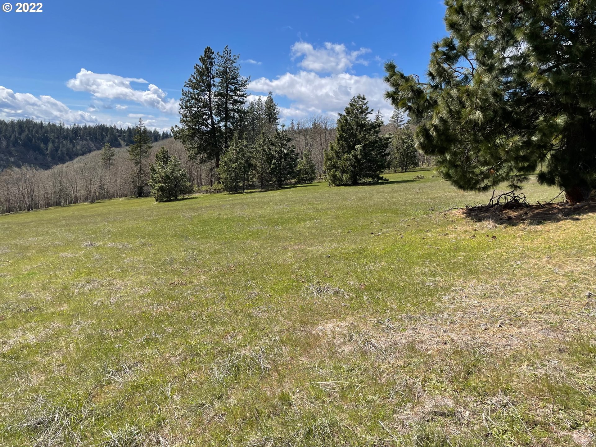 Knoll Ridge Road Road Lyle, WA 98635 - Photo 5 of 28 Gallery Image 5