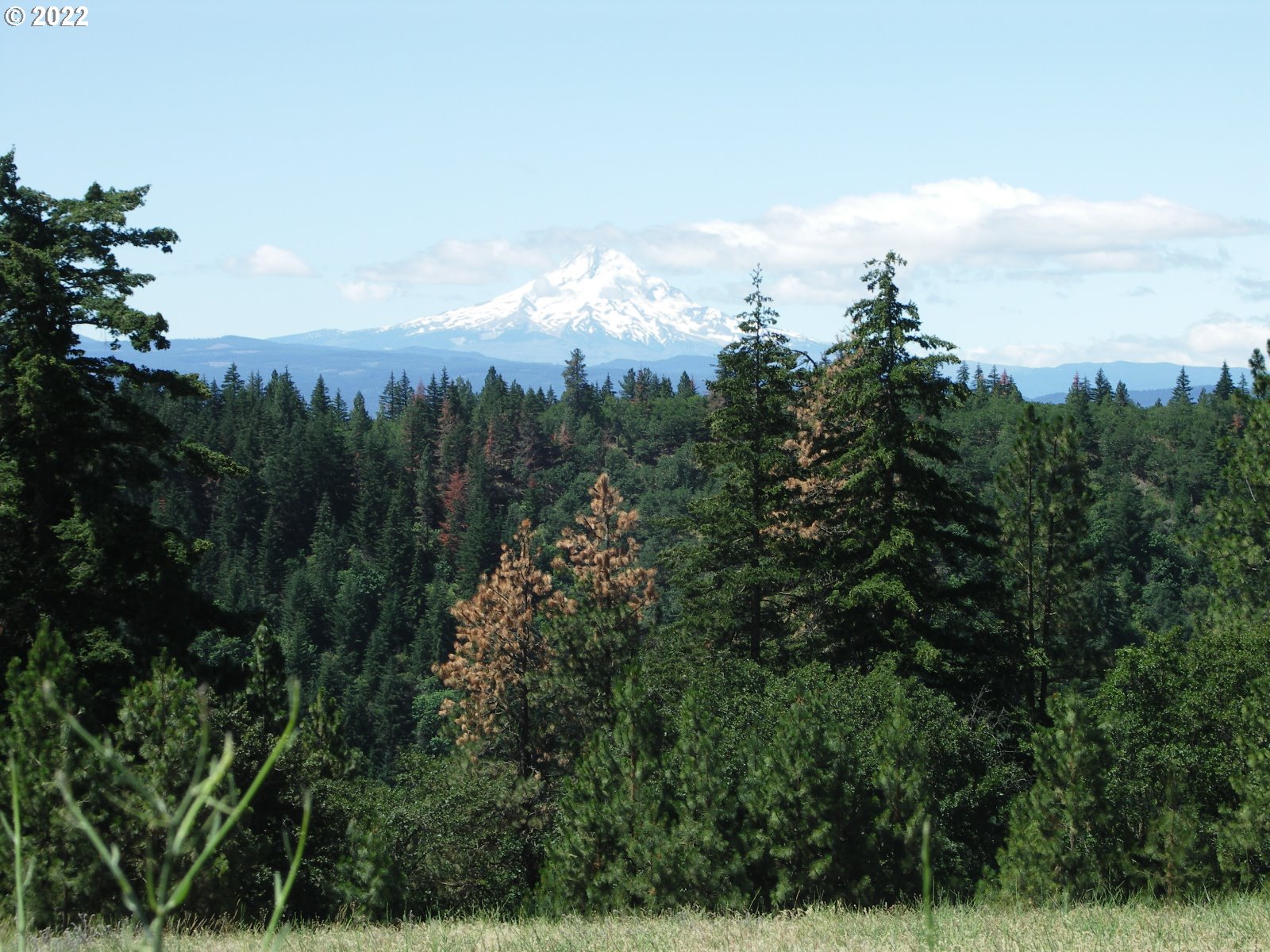 Knoll Ridge Road Road Lyle, WA 98635 - Photo 8 of 28 Gallery Image 8