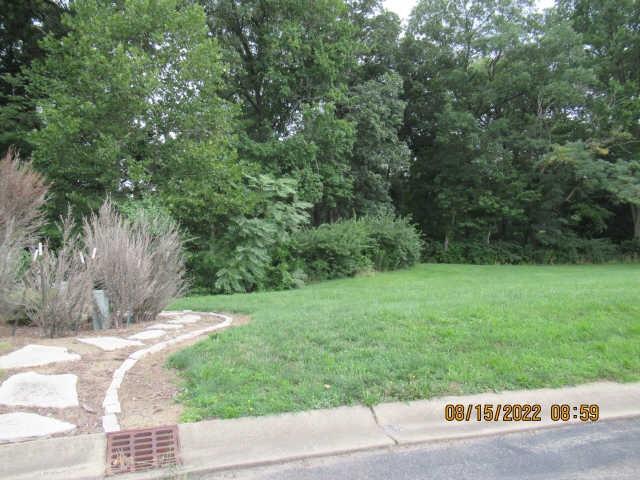 260 East Mueller Avenue Decatur, IL 62521 - Photo 1 of 1 a view of a yard with a tree