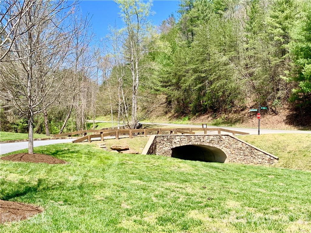 0 Red Cedar Way Lenoir, NC 28645 - Photo 11 of 37 a view of swimming pool with lawn chairs and plants