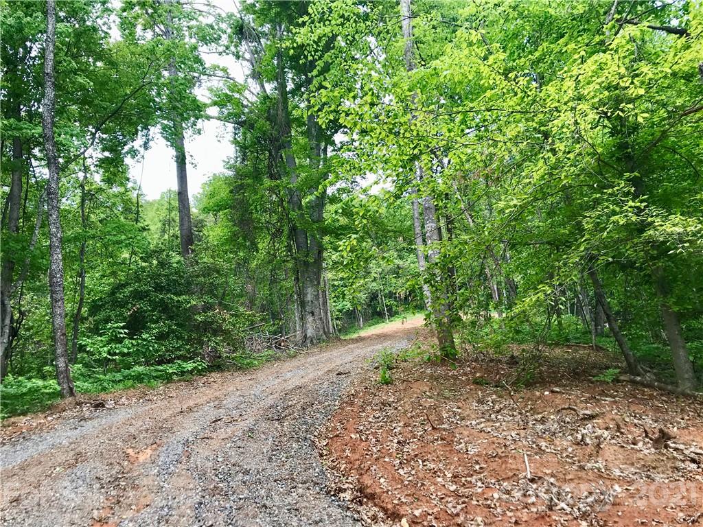 0 Red Cedar Way Lenoir, NC 28645 - Photo 3 of 37 a big yard with flowing stream of water in middle