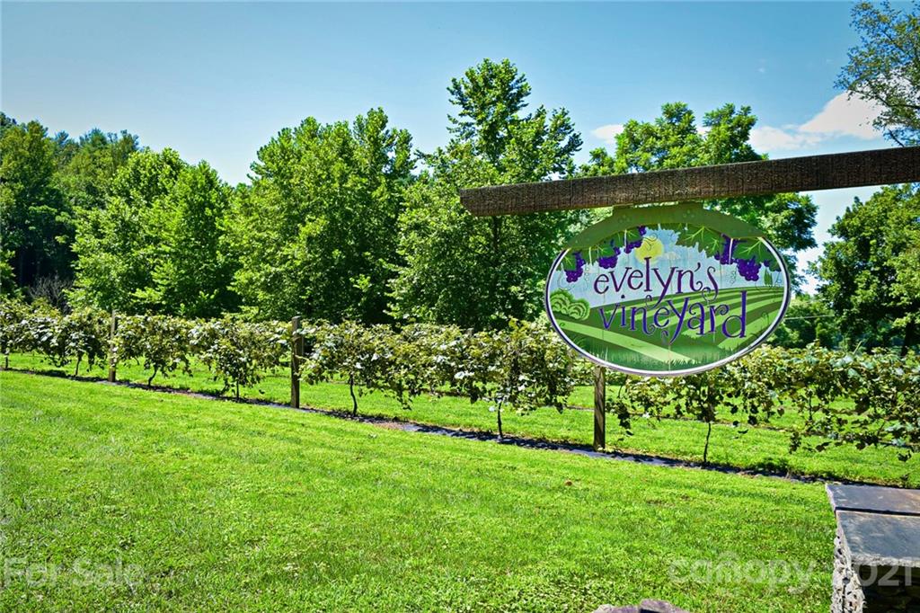 0 Red Cedar Way Lenoir, NC 28645 - Photo 23 of 37 a sign that is sitting in the grass next to a road