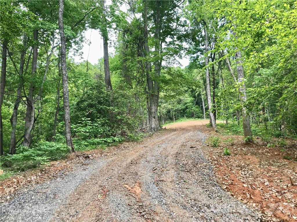 0 Red Cedar Way Lenoir, NC 28645 - Photo 4 of 37 a view of a forest with trees in the background
