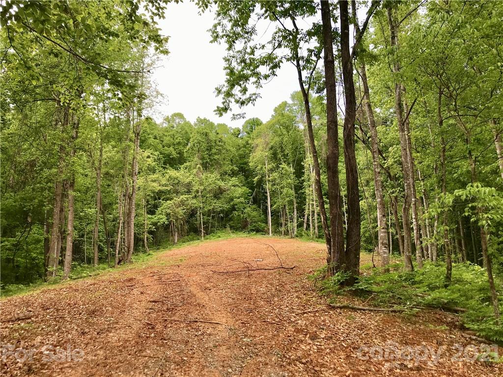 0 Red Cedar Way Lenoir, NC 28645 - Photo 5 of 37 a backyard of a house with lots of trees